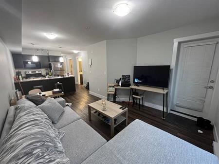 1 Bed + Den Apartment