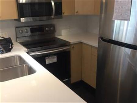 3 Month Lease then Mo2Mo Yaletown 2bd 2bath with parking option