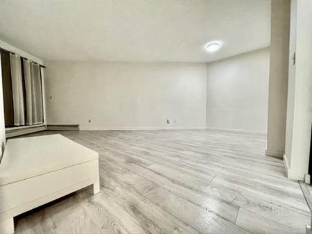 New flooring, spacious 1 bed 1 bath at Richmond Centre