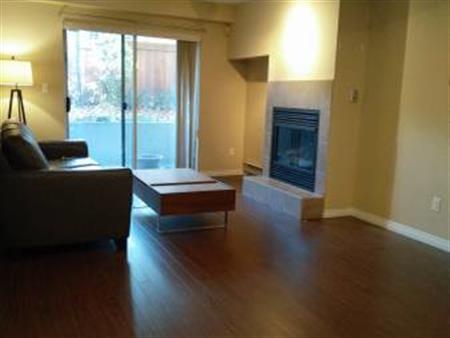 Furnished 1 bed 1 bath - Near VGH