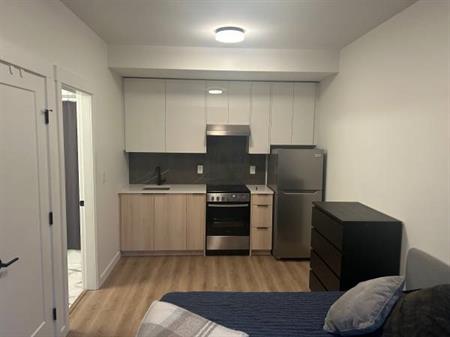 Bright ground level studio apartment (lockoff)