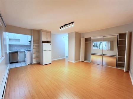 New Westminster studio apartment available on JANUARY 1ST