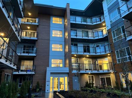 1 BED + 1 BATH + STORAGE + 1 PARKING IN MAPLE RIDGE