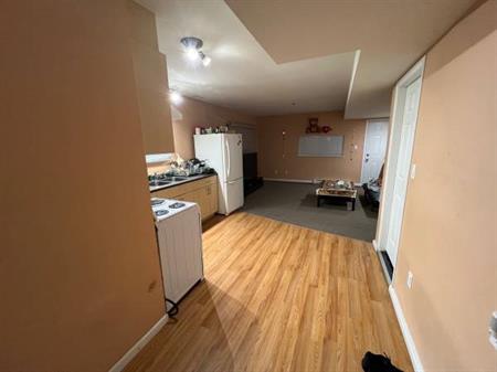 2 bedroom basement