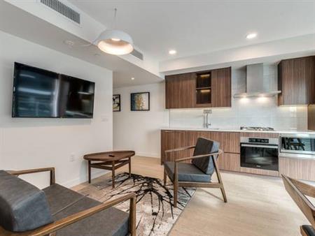 Available NOW -Pet Allowed Furnished 1 Bedroom @ 89 Nelson St