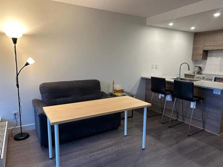 Marine Gateway - 1 bedroom w/Den apartment for rent