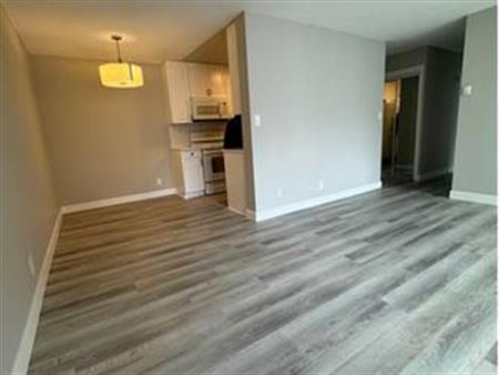 LARGE TWO BEDROOM APARTMENT DOWNTOWN VANCOUVER