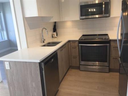 Luxury 2Bed/1btah, In-suite Laundry,Move in Incentive $1000 Cash Back