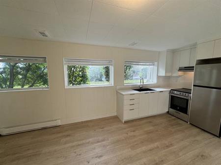 1 BR - $2050 Newly renovated