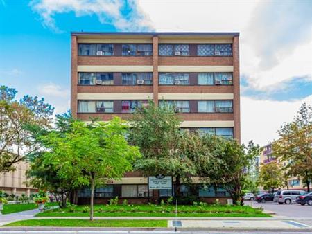 Large Bright Recently Totally Renovated 1 bdrm units