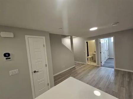 2 bedroom plush modern basement apartment | Masters Rd SE, Calgary