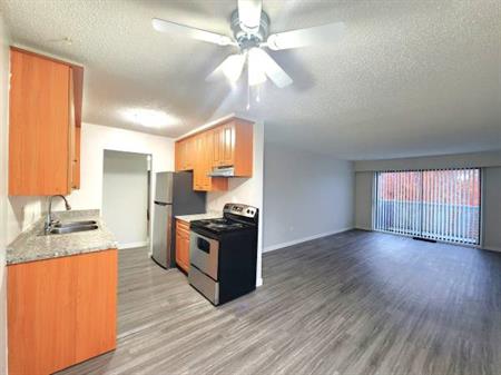 Large 2 Bed, 1 Bath Apartment in Maple Ridge