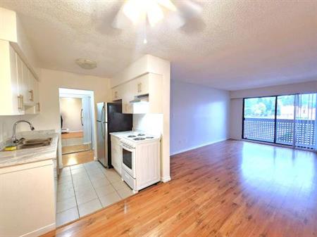 Spacious 1 Bed, 1 Bath Apartment in Downtown Maple Ridge