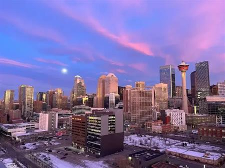 Fabulous 2 bedroom 2 bath Condo Downtown Calgary | 1320 1 St SE, Calgary