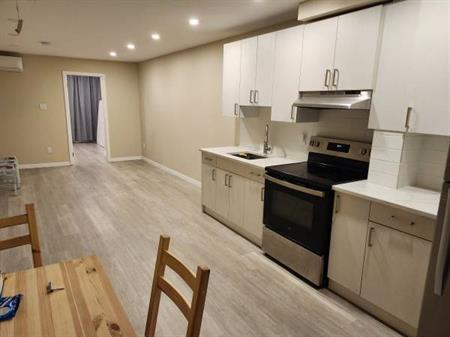 Beautiful newly renovated 4 1/2 condo - APPLIANCES + HEATING INCLUDED