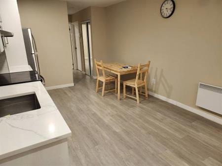 Beautiful newly renovated 4 1/2 condo for rent - APPLIANCES INCLUDED