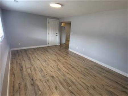 2 Bedroom Lower Suite, Parking, Storage + Huge Back yard!