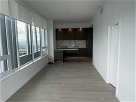 Brand new Metrotown Penthouse for rent 2room 2parking 2lockers