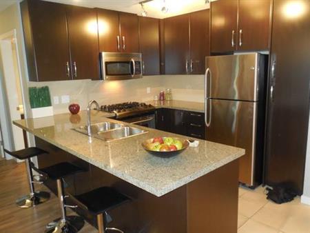 Beautiful 2 BR, 2 Bath Condo in Klahanie high rise