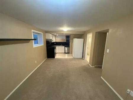 Beautifully maintained basement