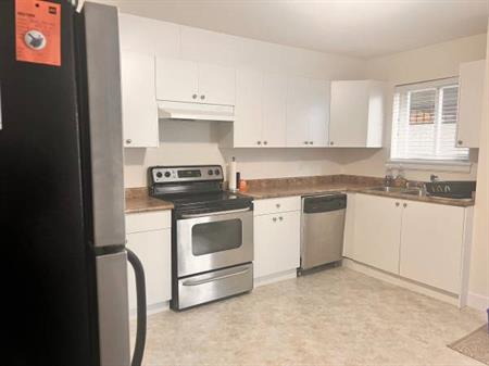 2Bed 1Bath Basement Suite in Cloverdale