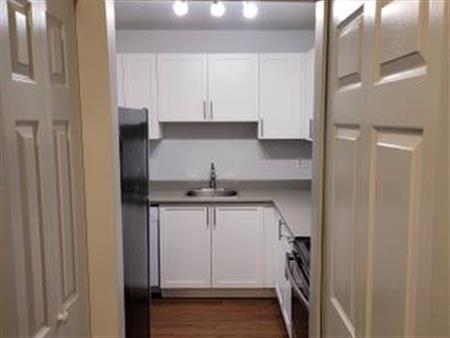 2 bedroom with storage near Lougheed Mall