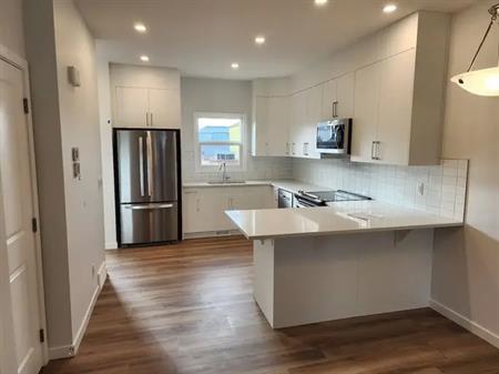 Cozy Brand New Townhouse With Finished Basement And Close To Amenities | 198 Wolf Hollow Manor Southeast, Calgary