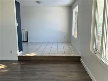 Cozy 2 bed 1 bath basement | Calgary