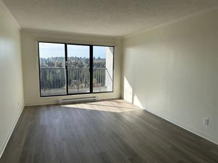 2-Bedroom Fully Renovated close to SkyTrain (Lougheed)