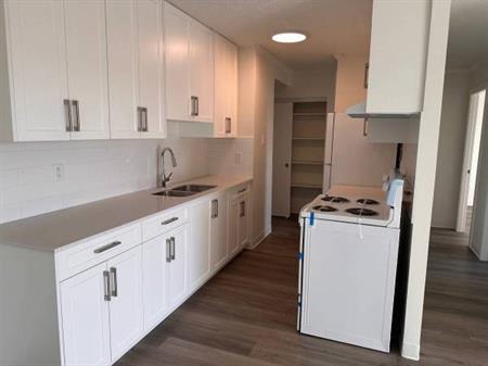 2-Bedroom Fully Renovated close to SkyTrain (Lougheed)