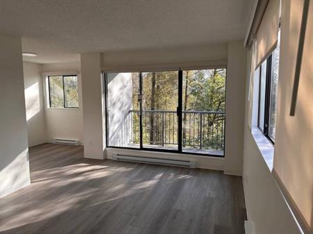 1-Bedroom Fully Renovated close to SkyTrain (Lougheed)