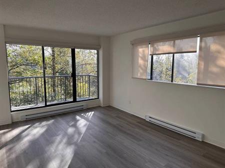 1-Bedroom Fully Renovated close to SkyTrain (Lougheed)