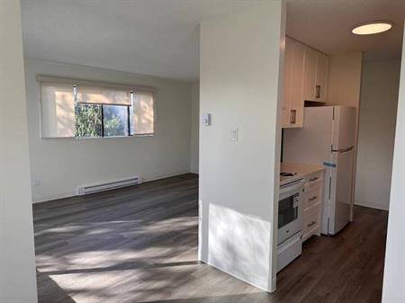 1-Bedroom Fully Renovated close to SkyTrain (Lougheed)