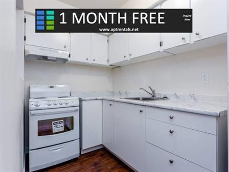 ***ONE MONTH FREE*** 1 bedroom for rent $1975