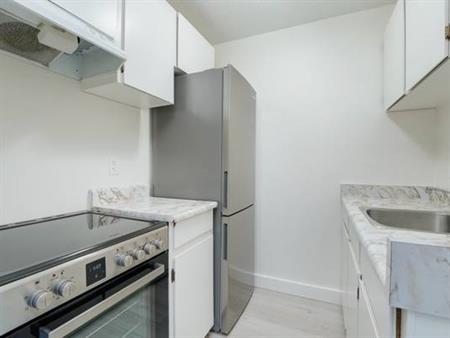 Reno'd 1 BR Corner Suite Unit on Superior St. Jan 1st