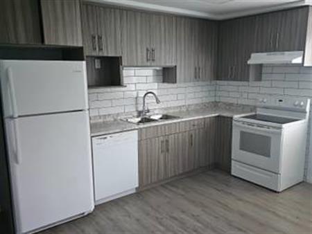 ****3 bedroom basement suite for rent