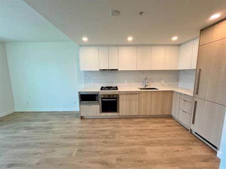 1BED +den& 1BA- SOCO, Brand New AC unit North Road Lougheed Burquitlam