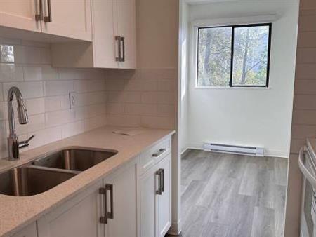 1-Bedroom Fully Renovated close to SkyTrain (Lougheed)