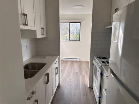 1-Bedroom Fully Renovated close to SkyTrain (Lougheed)