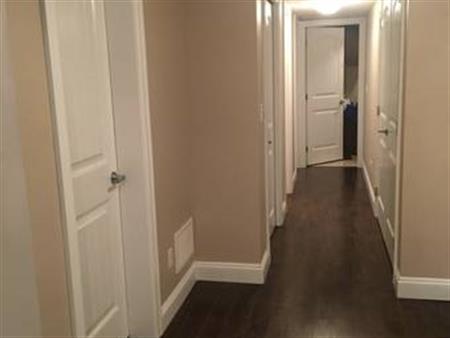 Spacious Two Bedrooms and One Bathroom Basement For Rent in Surrey