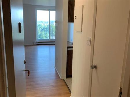 1 CH - 1 SDB - Montréal - $1,245 /mo