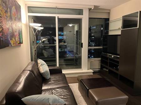 Furnished Downtown 1 Bedroom Apartment