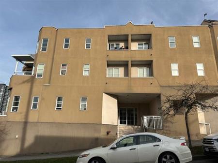 1 Bedroom apt for Rent - Kingsway- Collingwood