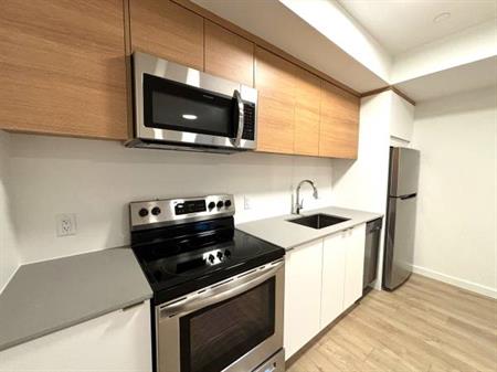 Brand New 1 Bed, 1 Bath Ground Level Suite -TP473 University Heights