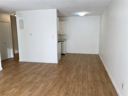 $1600 NEWLY RENOVATED 1BR APARTMENT