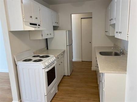 $1900 NEWLY RENOVATED 1 BR APARTMENT