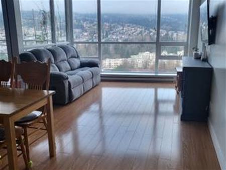 2bed2bath furnished with stunning view!