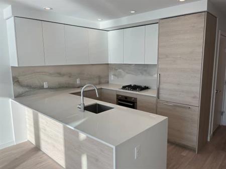 One bedroom & Flex brand new condo