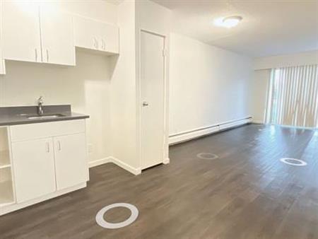 Jr 1 Bed in Vibrant East Van!