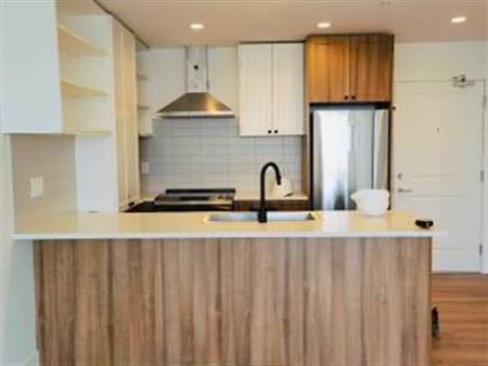 Modern Condo for Rent in the Heart of Langley